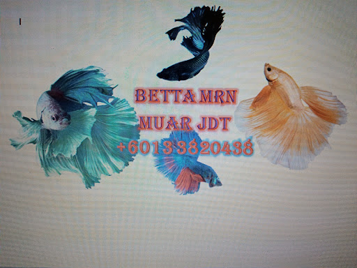 BettaMRN.MuarJDT
