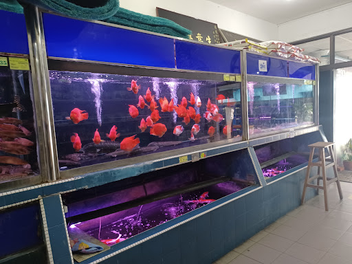 Xian Leng Aquatic Merchant Sdn Bhd
