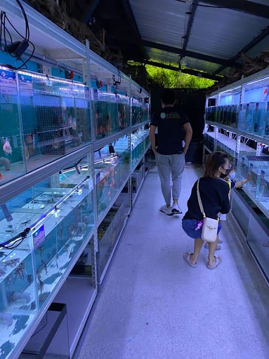 KC Aquarium Concept KC Aquarium Concept