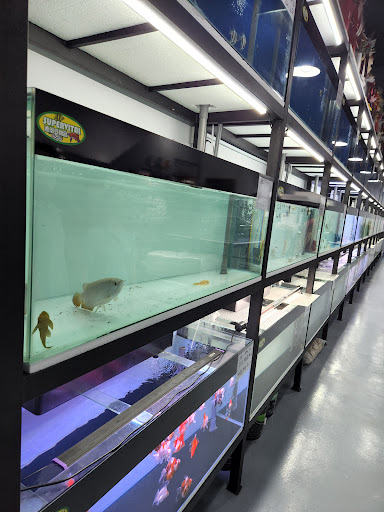 QC BP AQUARIUM QC BP AQUARIUM