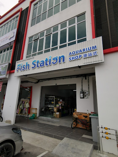 Fish Station Aquarium Shop Fish Station Aquarium Shop