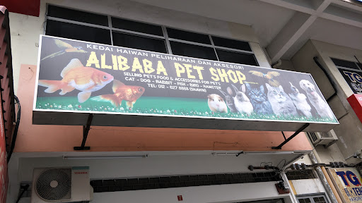 Alibaba Pet Shop
