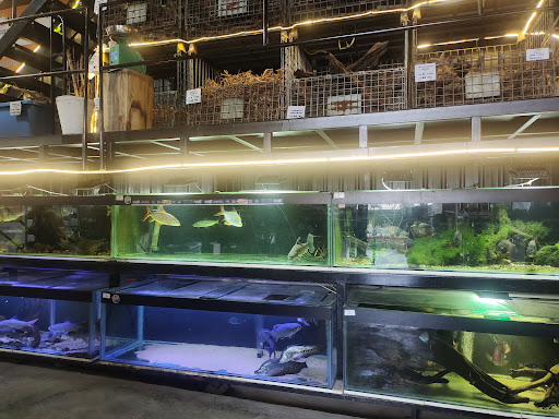 Aqua Leisure Sdn Bhd