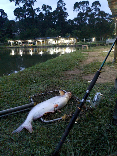 Atap Kolam Ikan Pancing
