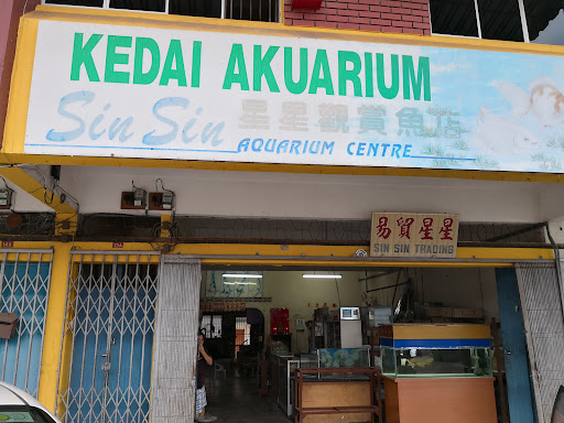 SIN SIN Aquarium