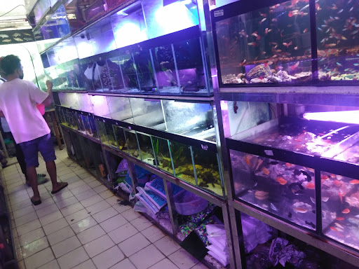 Coral Aquarium & Tackle Centre