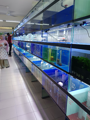 Zootopia Aquarium & Pets