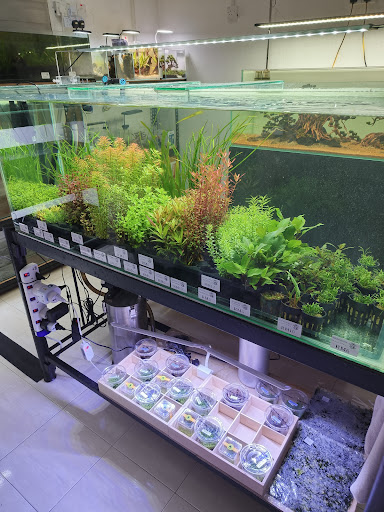 ONE Aquascape