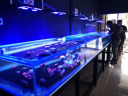 Lobang Crab Aquarium Johor Jaya