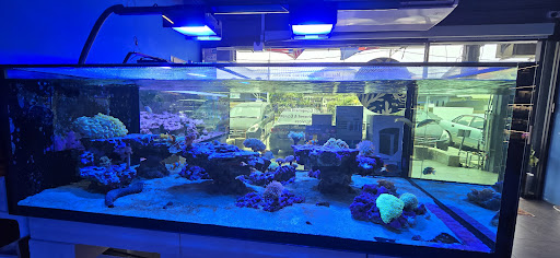 Ocean Reef Ecosystem Sdn Bhd