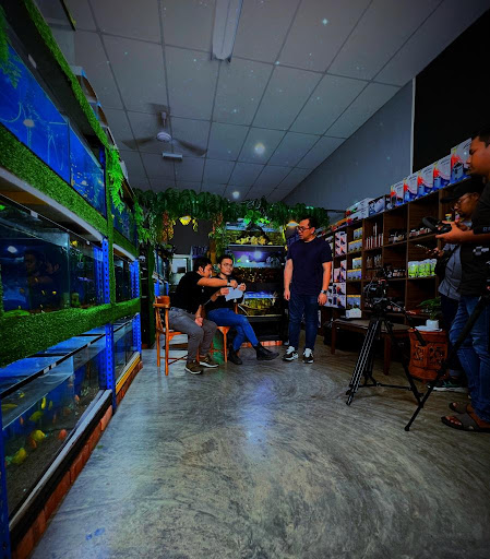 Jr guppy aquatic @ guppy johor