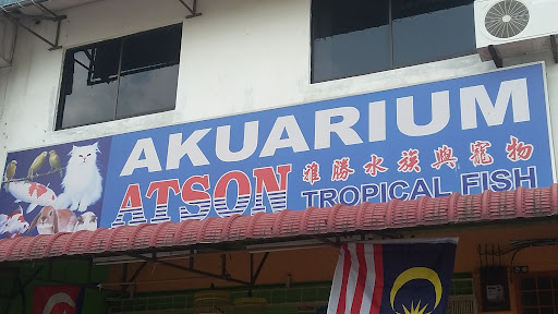 Atson Tropical Fish