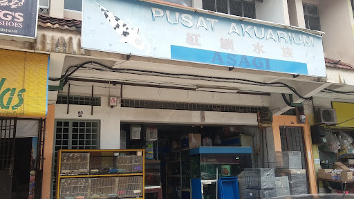 Pusat Akuarium Asagi