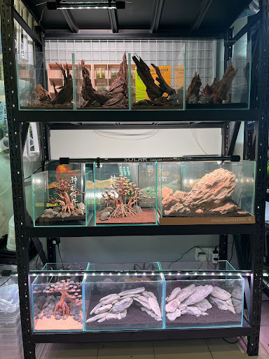 J WILD AQUATIC 囧泰水族