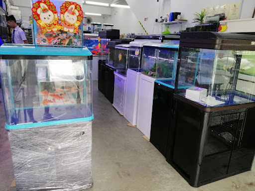 foong sheng aquarium