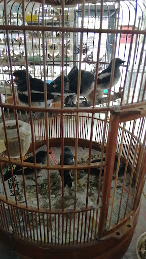 Cheng Gong Ao Xiang Aquarium