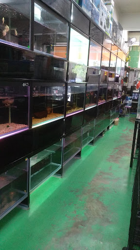 HT Life Ocean Aquarium & Pet Center