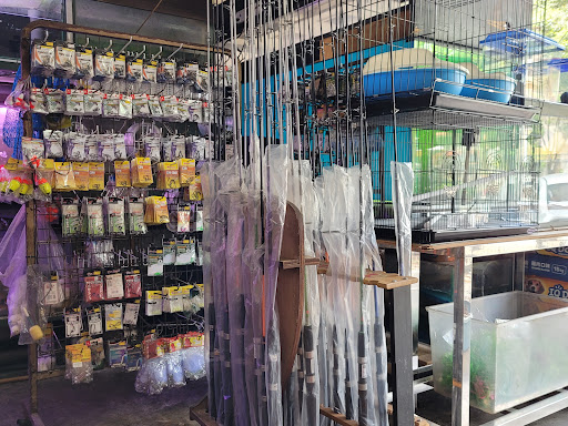 Siang Aquatik Centre