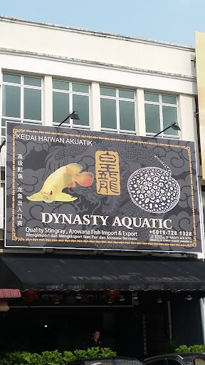 Dynasty Aquatic