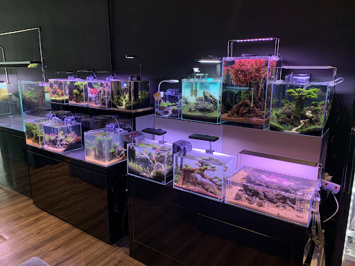 Green Maker Aquascape & Design