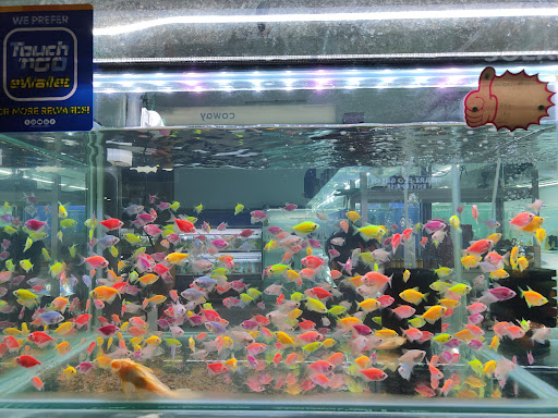 Smiley Aquatic (Smiley Shinise Trading)