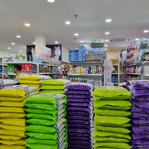 Mystique Catz (Kota Tinggi)