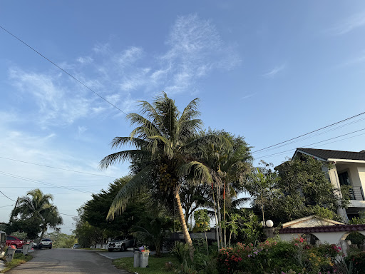 Chai Seng Aquarium (Aquarium Fish Breeder & Exporter)