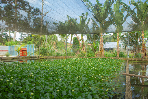 Raymond Aquatic Sdn Bhd