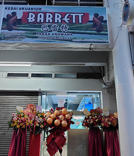 Barrett Arowana Aquatic