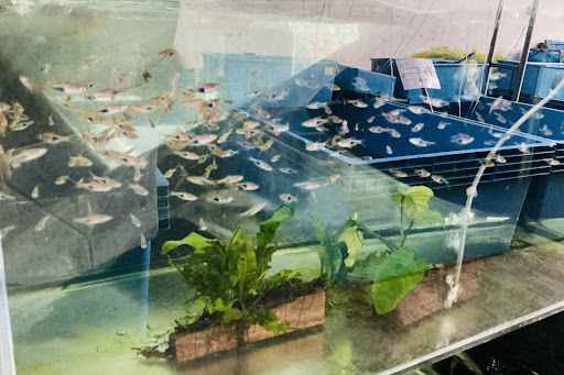 Aqua Leisure Sdn Bhd