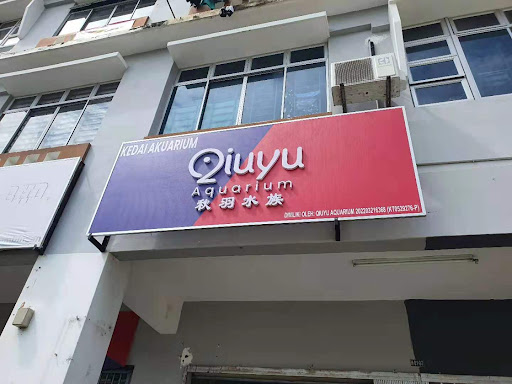 Qiuyu Aquarium 秋羽水族