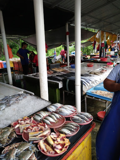 C&E FISH MERCHANT, Pontian, Johore. C&E FISH MERCHANT, Pontian, Johore.