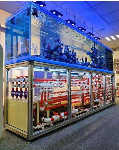 MyAquariumShops