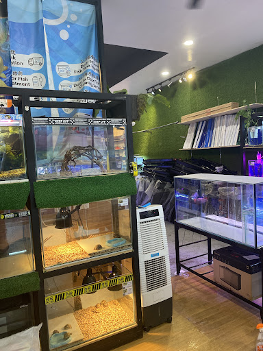 Go Paws Fishery and Pet Centre