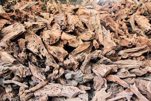 Goh Gek Peng Aquarium Trading