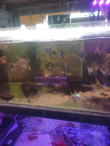 Long Foo Aquarium Centre