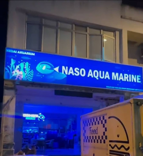 Naso Aqua Marine