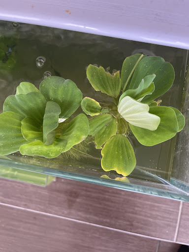 Qi Le Aquarium & Pet Accessories