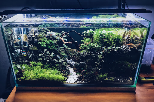 Mixscape by PlantScience