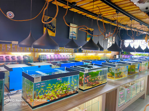 Tokey Aquarium