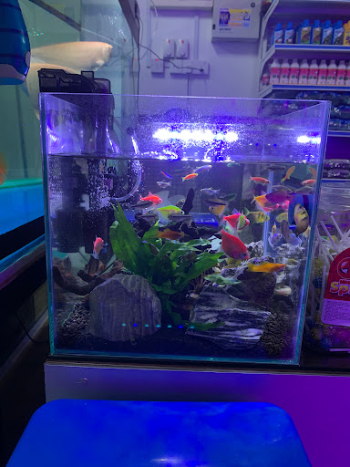 COLOUR WORLD AQUARIUM CENTRE