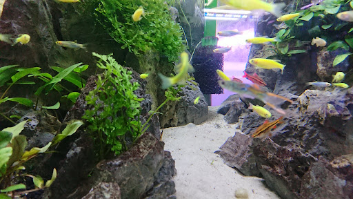 New Oasis Aqua Merchant