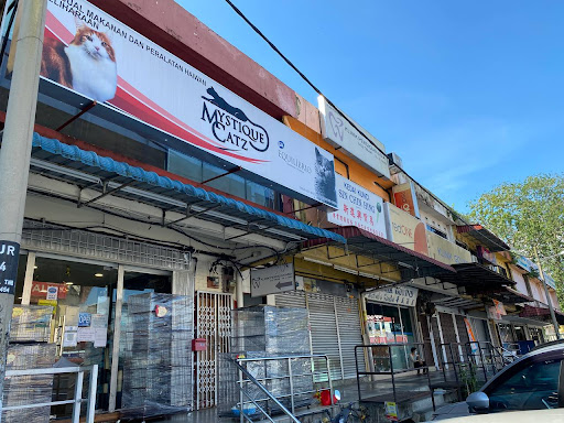 Mystique Catz (Ulu Tiram)