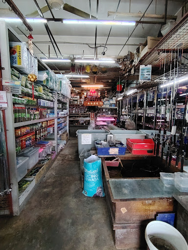 Lucky Tropical Fish Centre