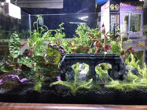 E-World Aquatic Sdn. Bhd.