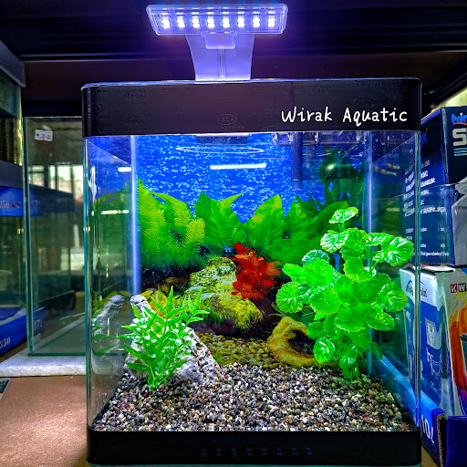 Wirak Aquatic & Aquascape