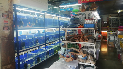 Lucky One Aquarium and Tackle Shop