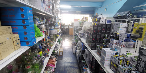 CT Tropical Fish And Pet