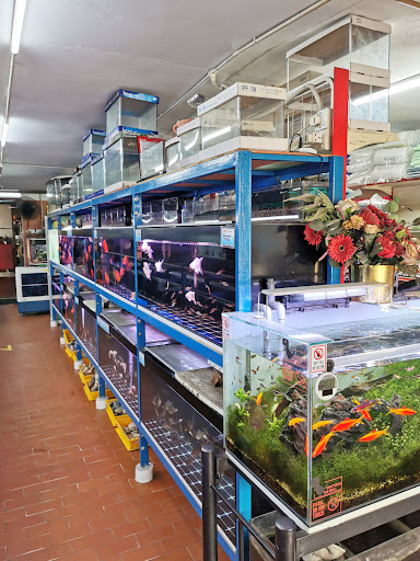 KH AQUATIC & PETS CENTRE