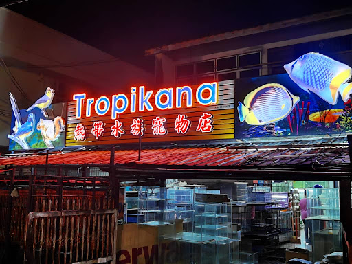 Tropikana
